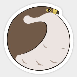 Bird Balls:  Peregrine Falcon Sticker